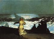 Winslow Homer A Summer Night